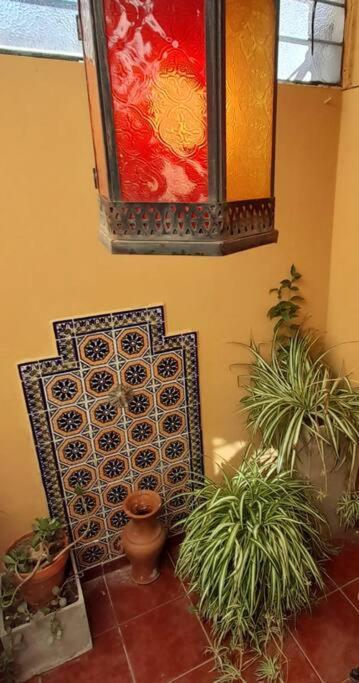 ¨Las Mayolicas¨ Hermoso Depto Con Patio Espanol 멘도사 외부 사진