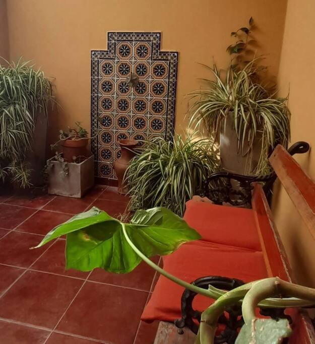 ¨Las Mayolicas¨ Hermoso Depto Con Patio Espanol 멘도사 외부 사진